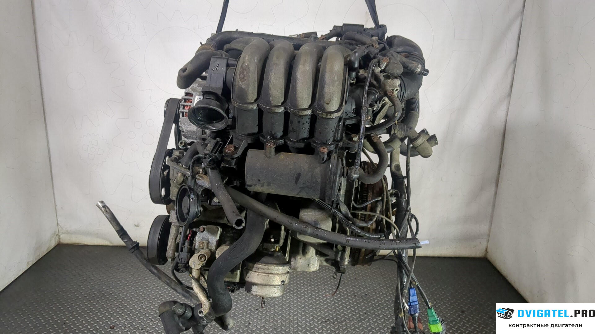 Двигатель Audi A4 B6 2000 - 2004 ALT 2 л., Бензин, Инжектор, артикул 8869148