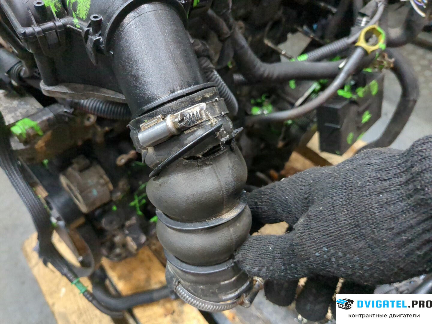 Двигатель Citroen Berlingo 2002 - 2008 9HX 1.6 л., Дизель, HDI, артикул 8410834
