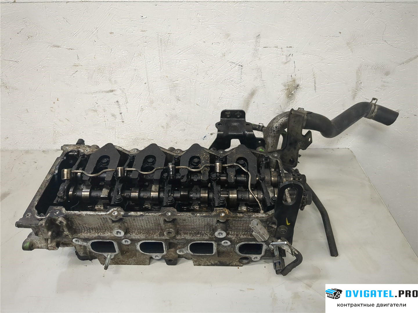 Головка блока цилиндров (ГБЦ) Nissan Pathfinder 2004 - 2014 YD25DDTI 2.5 л., Дизель, DCI, артикул 8148818
