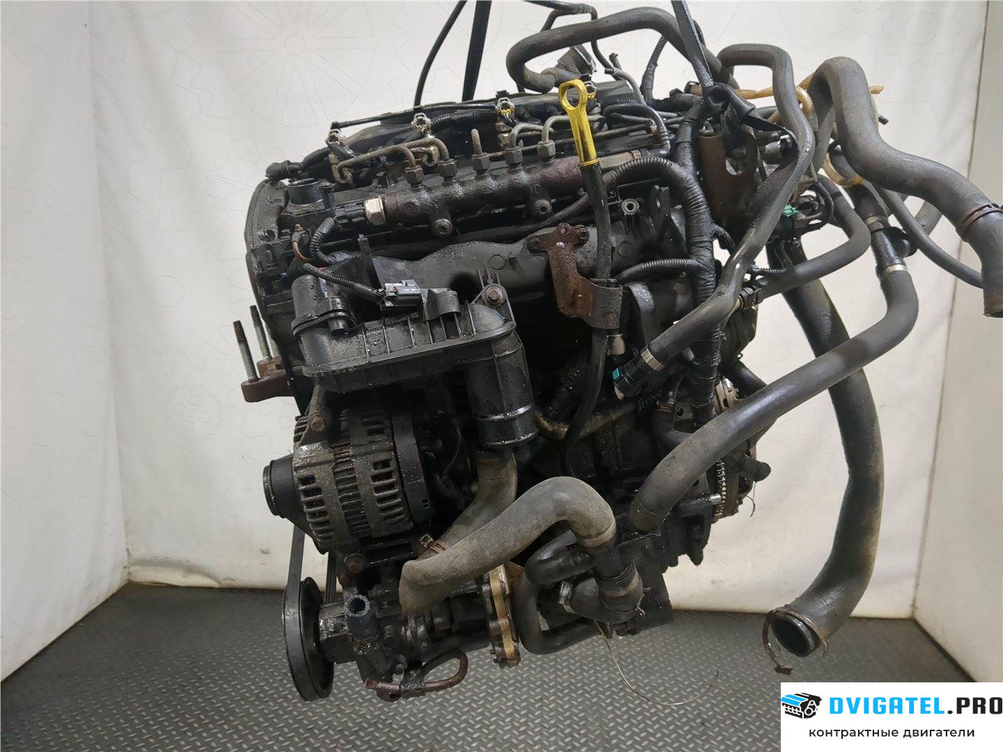 Двигатель Ford Transit 2006 - 2014 P8FA, P8FB 2.2 л., Дизель, TDCI, артикул 8213758