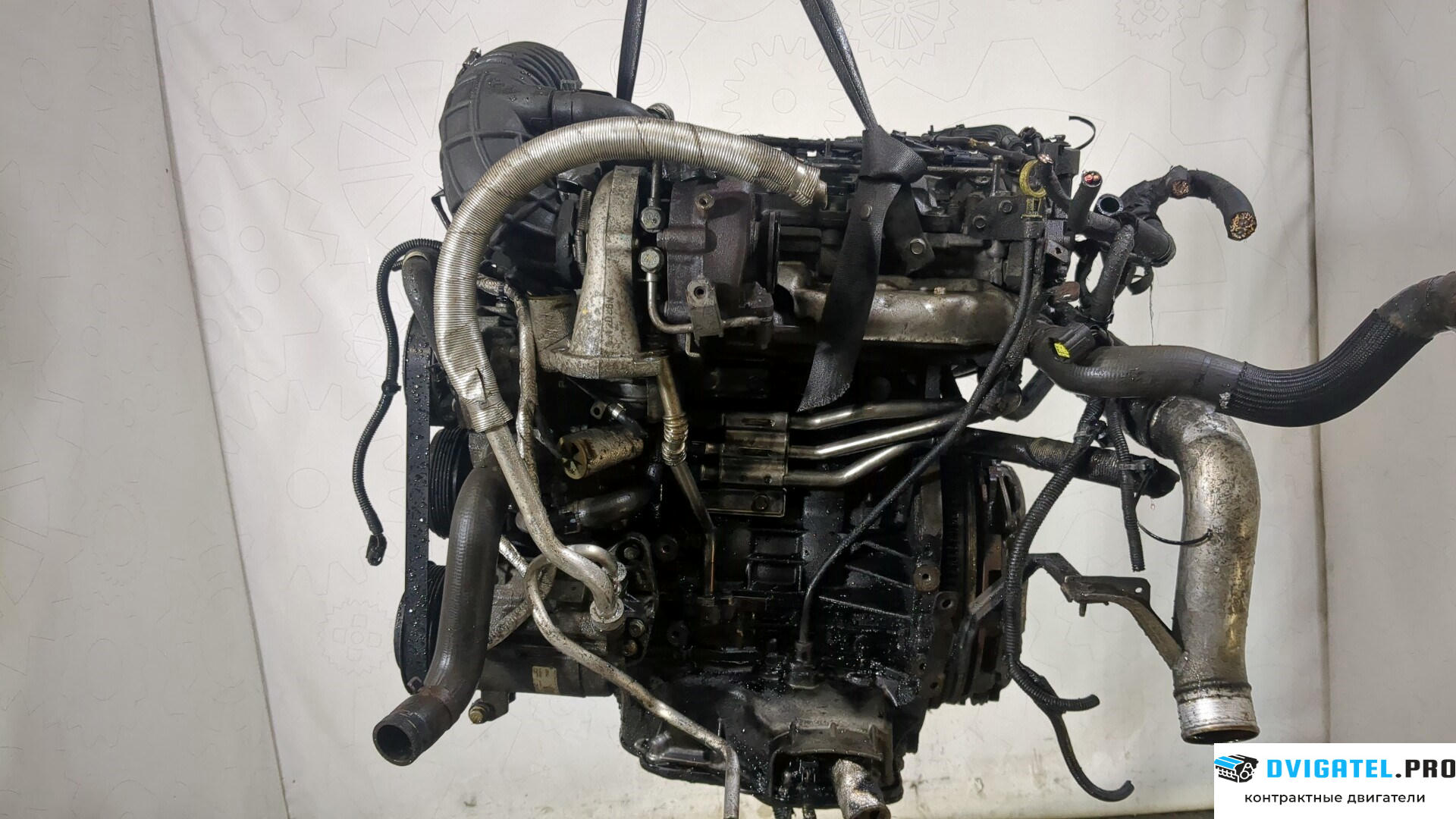 Двигатель Opel Antara Z22D1 2.2 л., Дизель, CDI, артикул 8742190