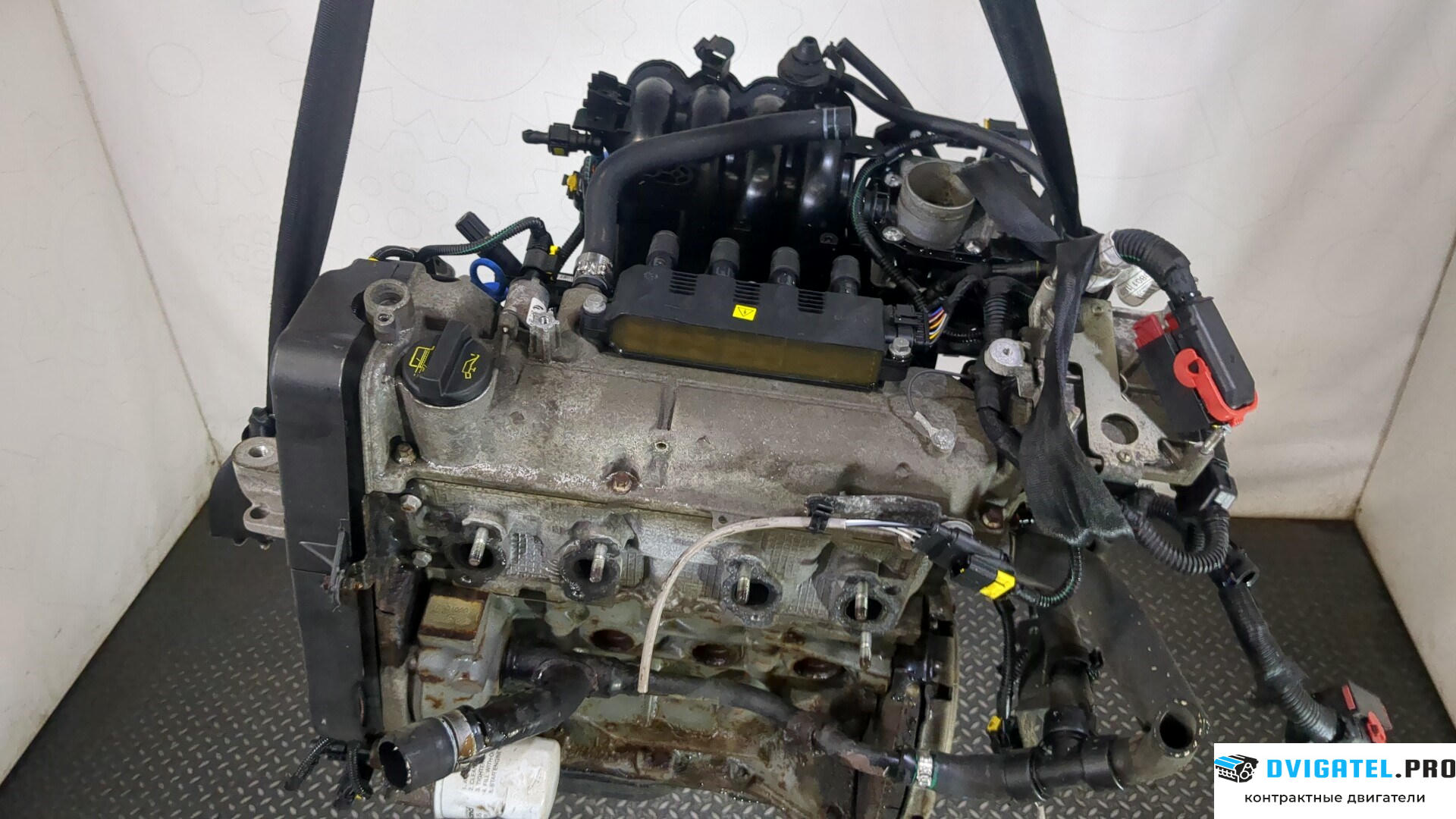 Двигатель Fiat Punto Evo 2009 - 2012 169 A 4.000 1.2 л., Бензин, Инжектор, артикул 9193336